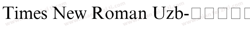 Times New Roman Uzb字体转换